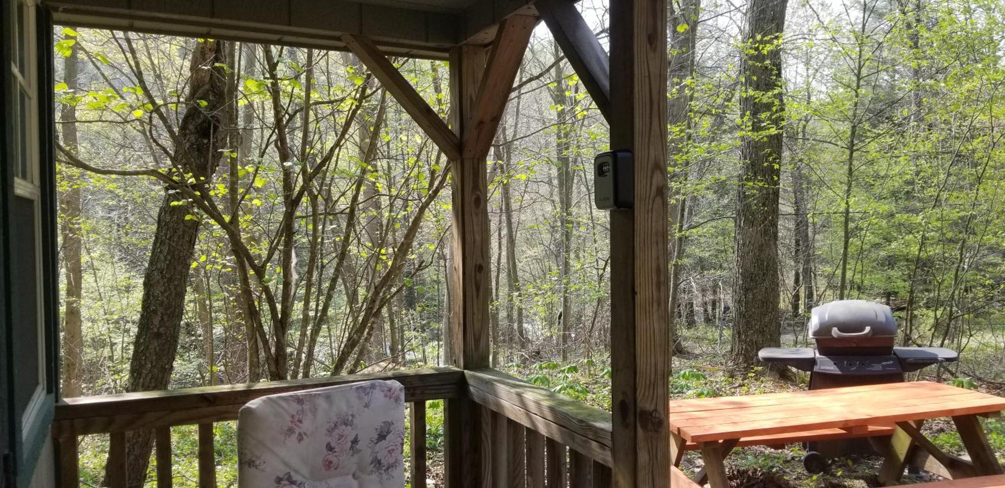 Abrams Creek Campground Mount Storm Exterior foto