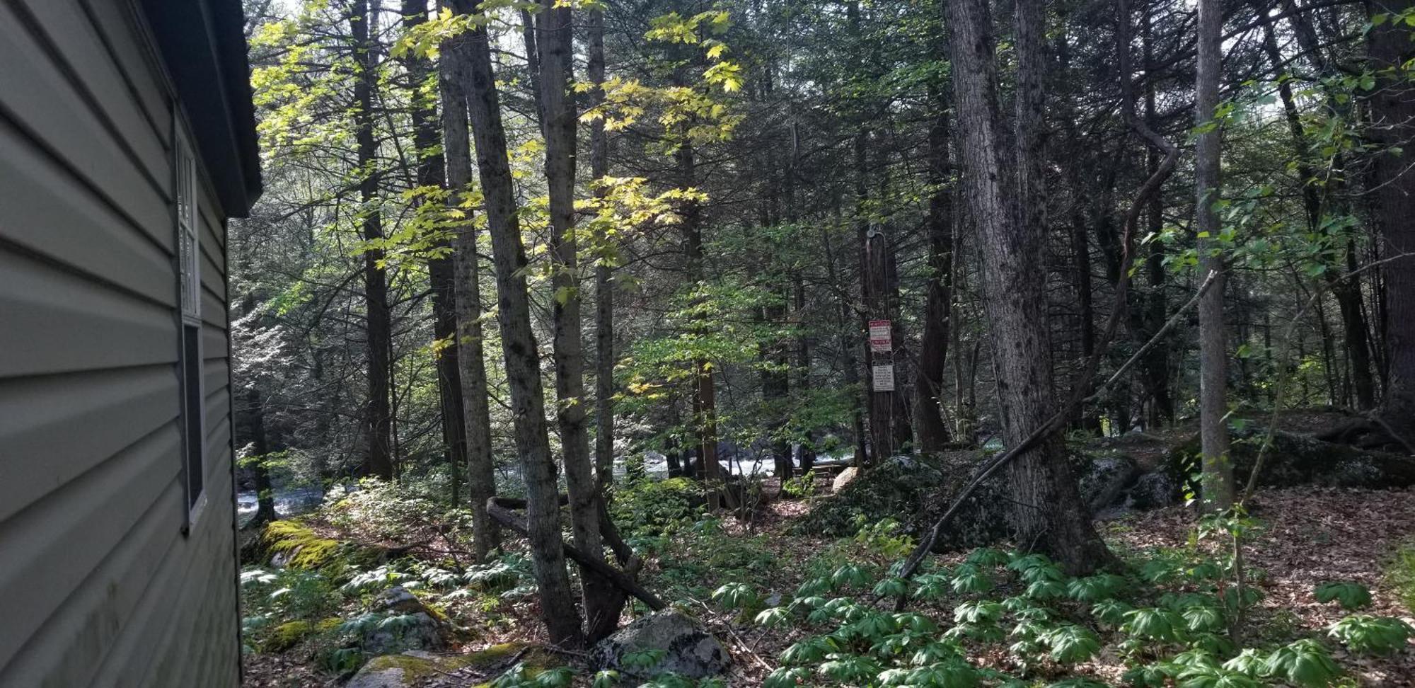 Abrams Creek Campground Mount Storm Exterior foto