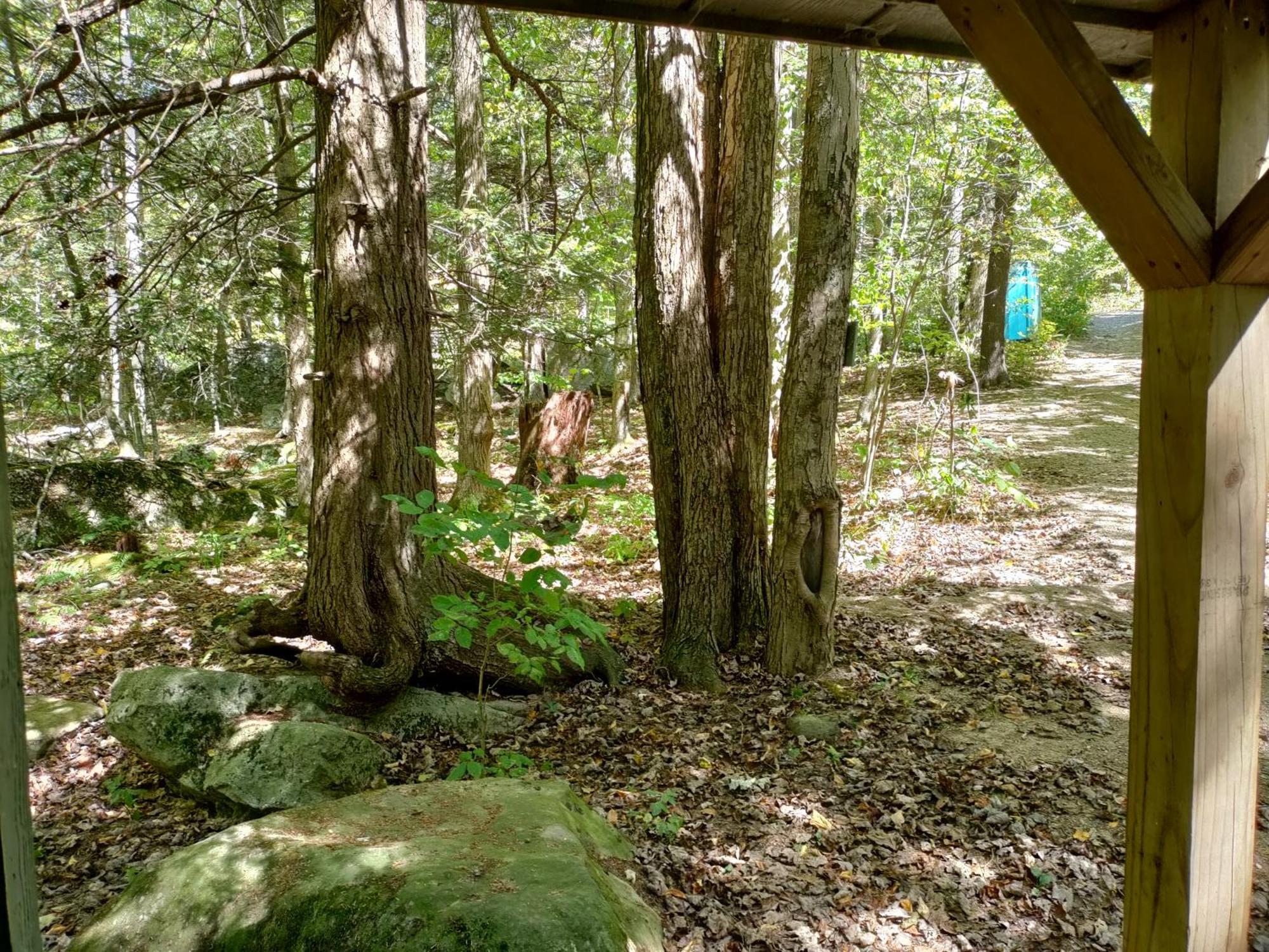 Abrams Creek Campground Mount Storm Exterior foto
